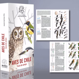 Aves de Chile – Guía de Campo | Daniel Martínez-Piña