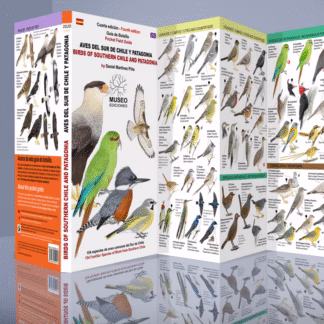 Guía Plegable: Aves del Sur de Chile y Patagonia – Birds of Southern Chile and Patagonia