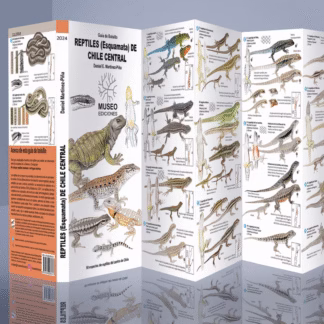 Guía Plegable Reptiles de Chile Central | 50 Especies y Mapas de Distribución